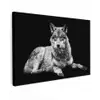 Wilde dieren - Wolf - Zwart - Wit canvas 2cm klein -z3d