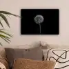 Paardenbloem - Zwart - Bloemen - Botanisch canvas 2cm klein -sfeer1