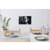 Paard - Schimmel - Portret Muursticker klein -eettafel