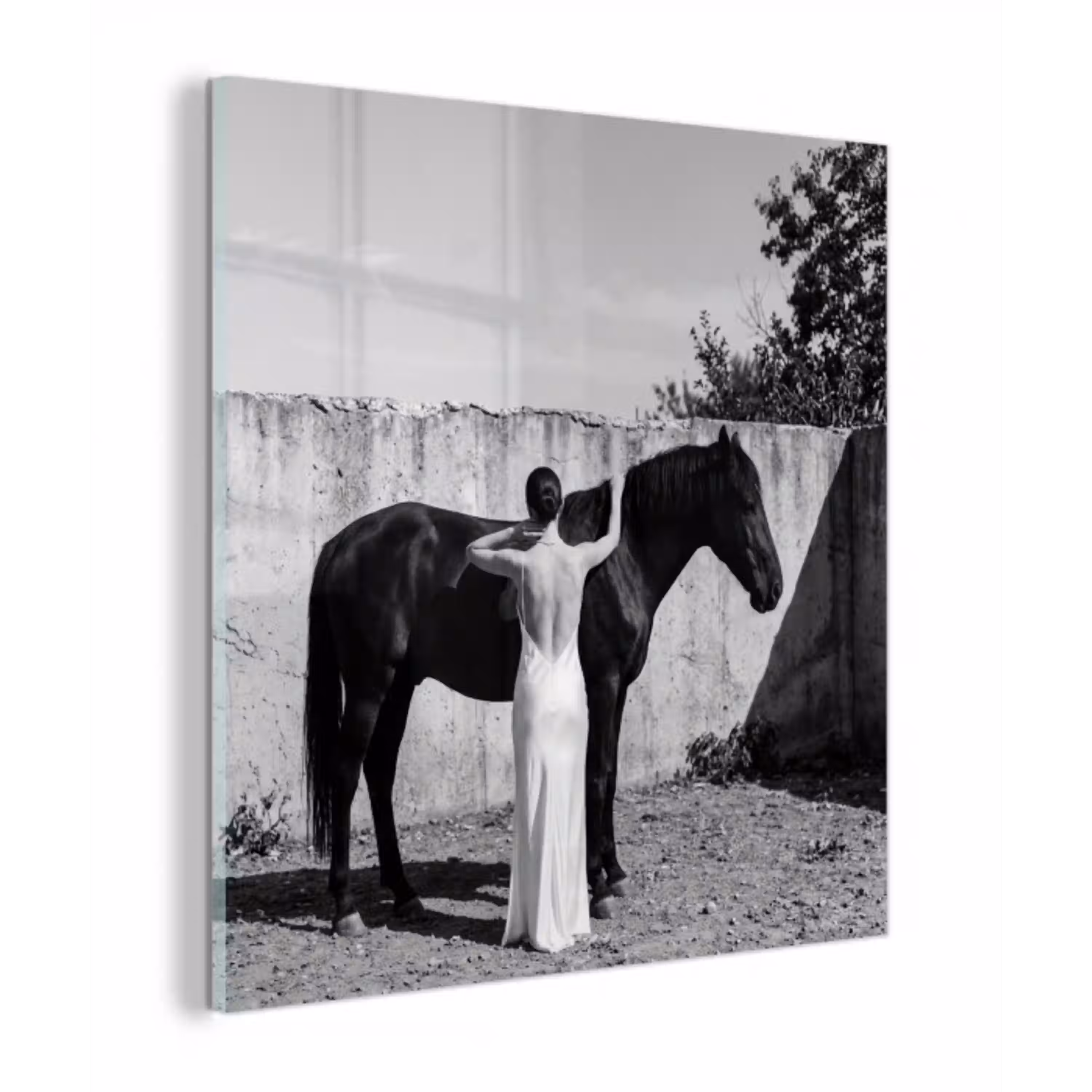 Vrouw - Paard - Artistiek plexiglas 5mm klein -z3d