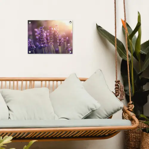 Lavendelbloemen - Paars - Zonlicht tuinposter los doek klein -sfeer7