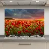Zonsondergang - Klaprozen - Rood - Bloemen - Veld - Natuur keuken achterwand spatscherm klein -3d_website