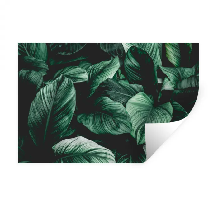 Jungle - Bladeren - Tropisch - Planten - Natuur Muursticker klein -3d