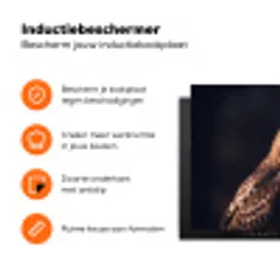Roofvogel - Buizerd - Bruin Inductie beschermer vinyl 3mm klein -zzzzzzz-td-ups