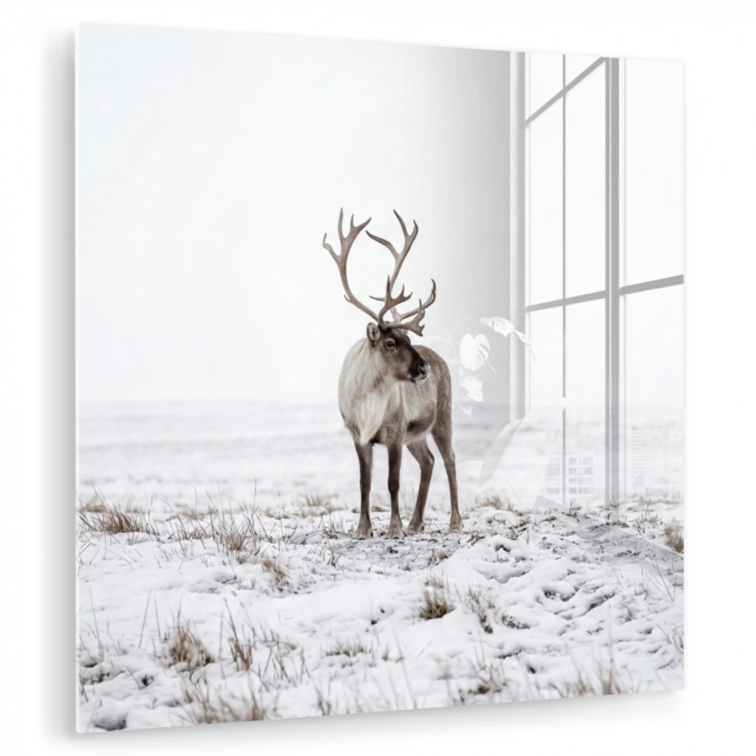 Rendier - Gewei - Sneeuw - Winter plexiglas 5mm klein -zzzproduct_nieuw