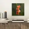 Bloem - Gladiolen - Zalmroze aluminium wit klein -sfeer1