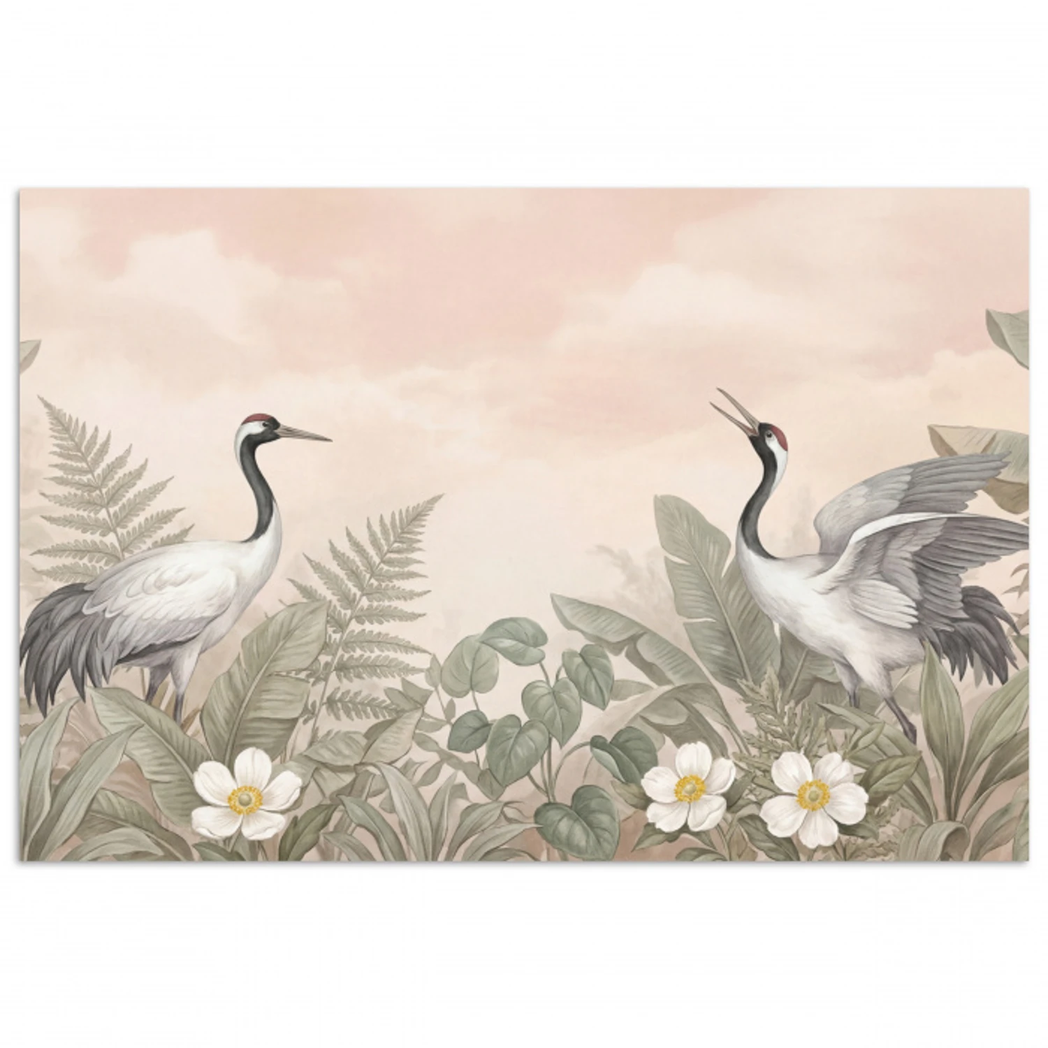 Kraanvogels - Natuur - Roze poster papier klein -3d