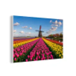 Tulpen - Holland - Molen - Kleurrijk forex 5mm xxl -3d