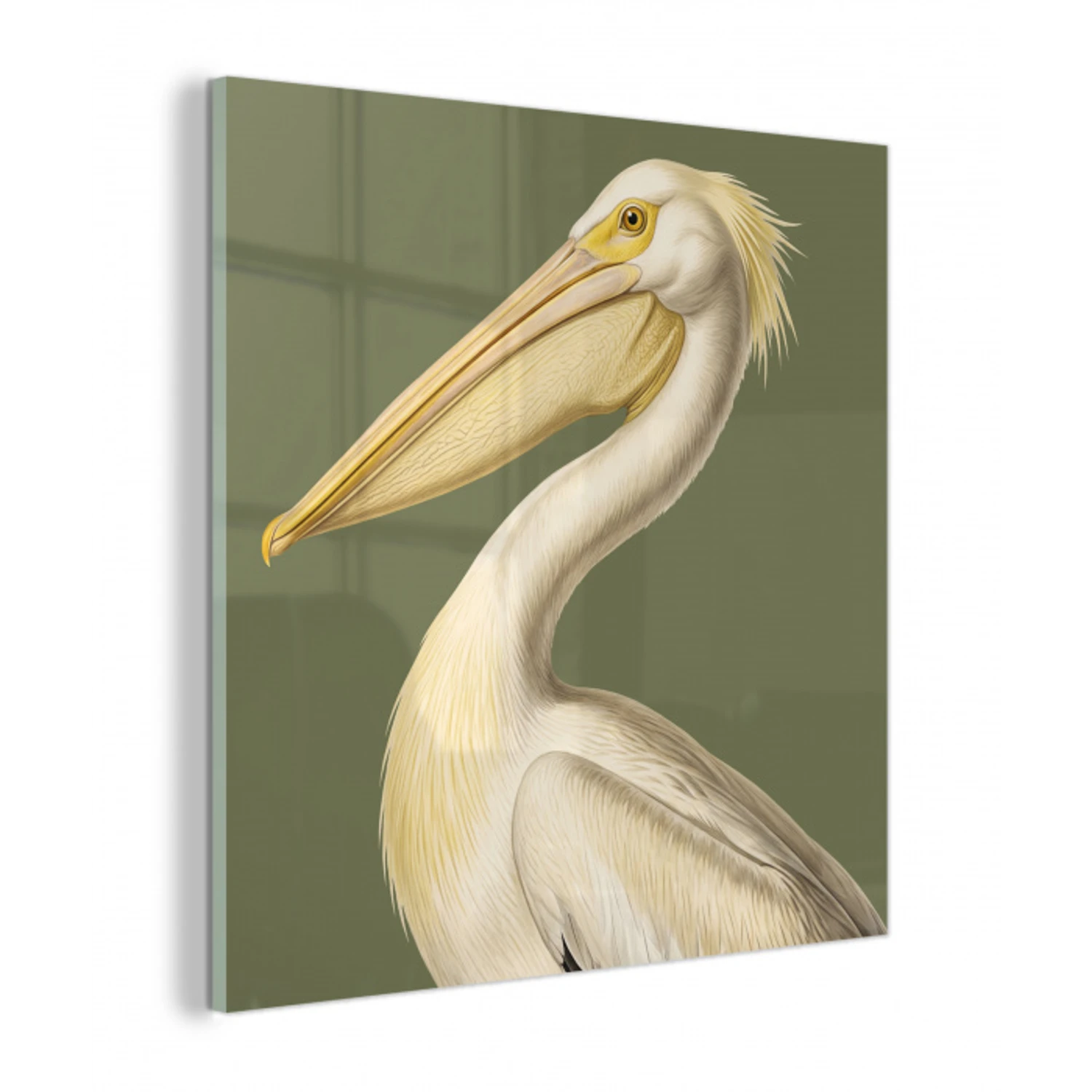 Pelikaan - Wit - Vogel - Klassiek - Natuur plexiglas 5mm klein -z3d