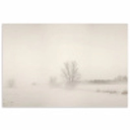 Boom - Mist - Sneeuw - Winter - Minimalistisch poster papier klein -3d