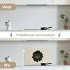Rozet - Cirkelvormig - Donkergroen keuken achterwand spatscherm klein -voor_na_NL