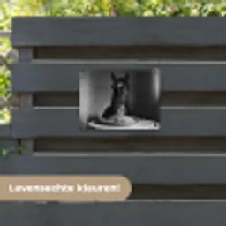 Paard - Bord - Pasta - Tafelkleed - Zwart Wit - Dieren tuinposter los doek klein -sfeer3