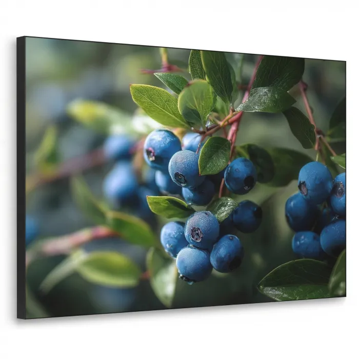 Blauwe bessen - Dauwdruppels - Natuurlijk licht Textielframe zwart klein -3d