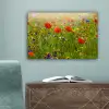 Lente - Bloemen - Rood - Klaproos - Gras - Groen canvas 2cm klein -sfeer4