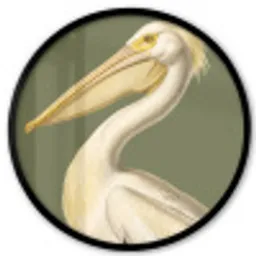 Pelikaan - Wit - Vogel - Klassiek - Natuur Fotolijst rond zonder passe partout klein -3d