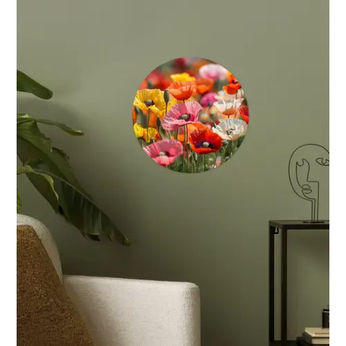 Bloemenveld - Klaprozen - Kleurrijk Wandcirkel behangsticker klein -sfeer2