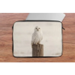 Sneeuwuil - Paal - Winter - Portret - Majestueus laptophoes neopreen klein -tafel