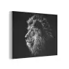Zwart Wit - Leeuw - Kop - Dieren PET vilt klein -3d