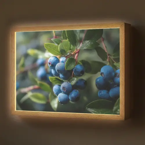 Blauwe bessen - Dauwdruppels - Natuurlijk licht Light Box met batterij (Wandlamp) middel -z3d_website