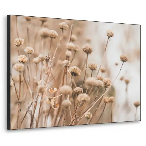 Droogbloemen - Beige - Bloemen - Natuur Textielframe zwart klein -3d