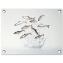 Vissen - Water - Wit tuinposter los doek klein -3d