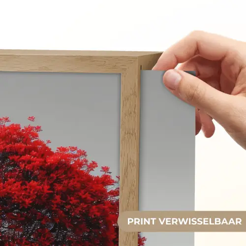 Boom - Rood - Natuur - Zwart wit Light Box met batterij (Wandlamp) middel -USP_websiteprintNL