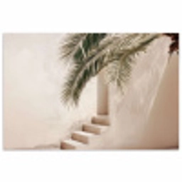Palmboom - Schaduw - Trap - Beige poster papier klein -3d