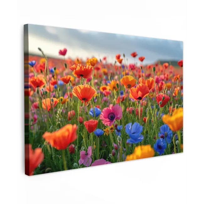 Outdoor Canvas Print - Flower meadow in full bloom