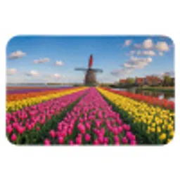 Tulpen - Holland - Molen - Kleurrijk Badmat klein -3d
