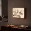 Gedroogde plant - Natuur - Bruin - Planten Light Box met batterij (Wandlamp) middel -sfeer1
