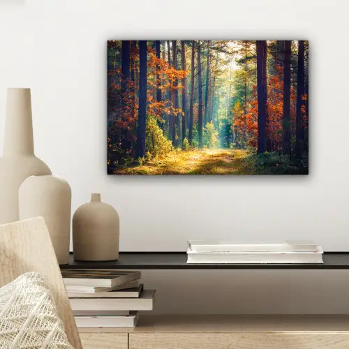 Bos - Zon - Natuur - Herfst canvas 2cm klein -sfeer6