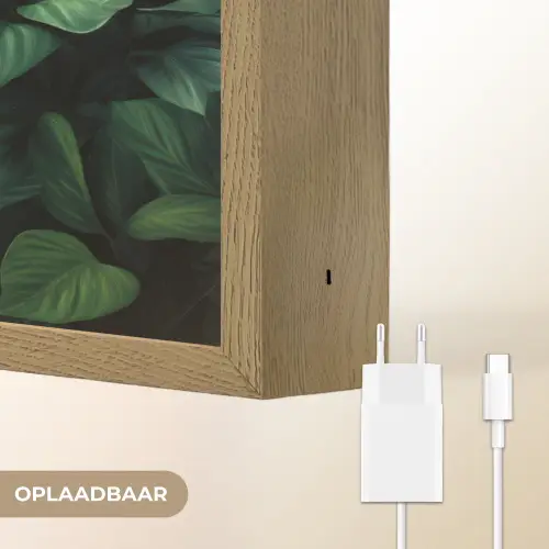 Bladeren - Ovaal - Groen - Nerven Light Box met batterij (Wandlamp) middel -USP_websiteoplaadbaarNL