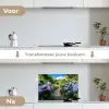 Hortsensia - Pad - Bloemen keuken achterwand spatscherm klein -voor_na_NL