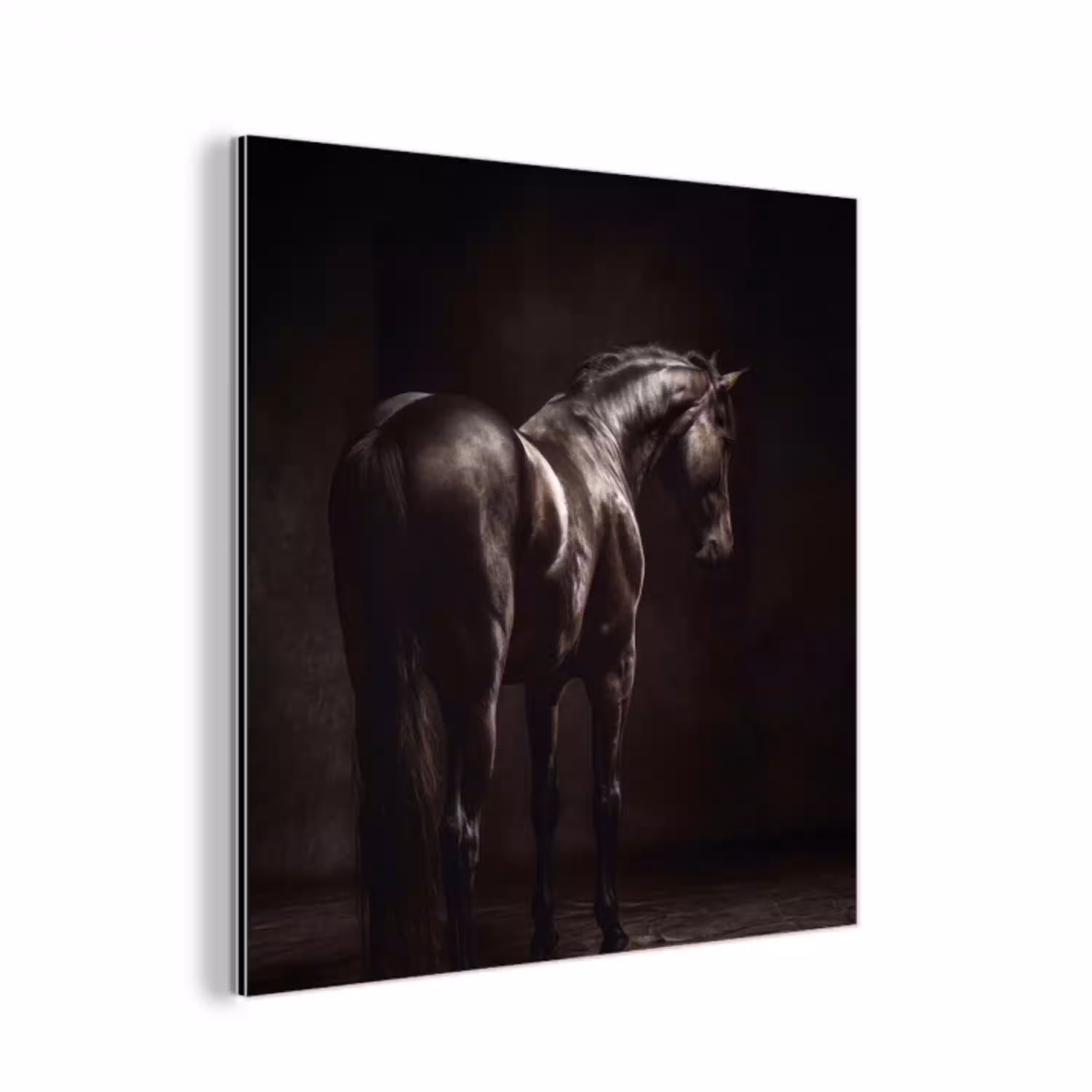 Krachtig - Paard - Donker aluminium wit klein -3d