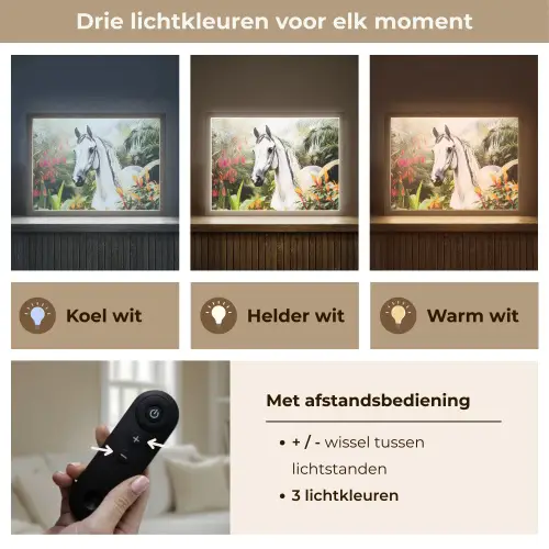Paard - Wit - Bos - Bloemen - Planten Light Box met batterij (Wandlamp kind) middel -USP_lichtkleurNL