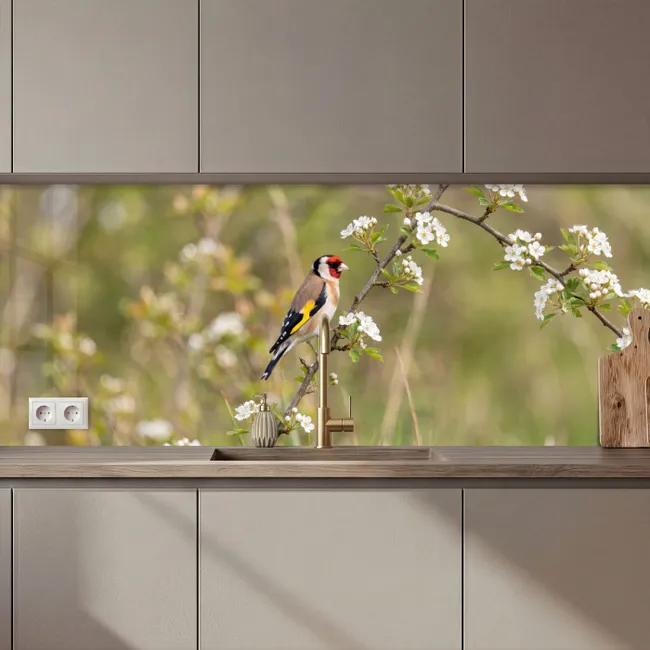 Keuken achterwand - Putter - Bloesem - Lente - Natuur - Kleurrijk