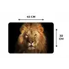 Leeuw - Dieren - Zwart - Licht - Bruin - Portret Placemat vinyl groot -specs