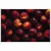 Fruit - Close up - Nectarines poster papier klein -3d