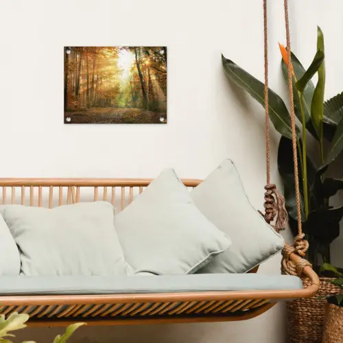 Bos - Herfst - Zon - Landschap - Natuur - Bomen - Bladeren tuinposter los doek klein -sfeer7