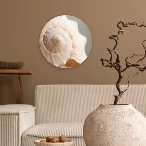 Schelp - Detail - Beige Wandcirkel kunststof plaat 5mm dik klein -sfeer1