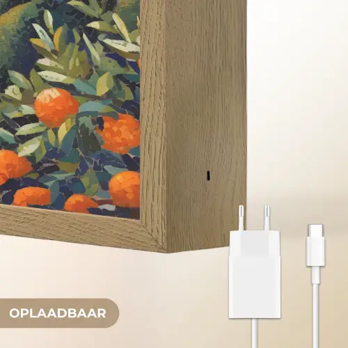 Huizen - Mozaïek - Sinaasappelbomen - Zee Light Box met batterij (Wandlamp) middel -USP_websiteoplaadbaarNL