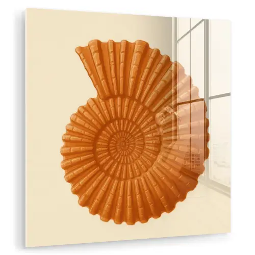 Schelp - Oranje - Ribbels plexiglas 5mm klein -zzzproduct_nieuw