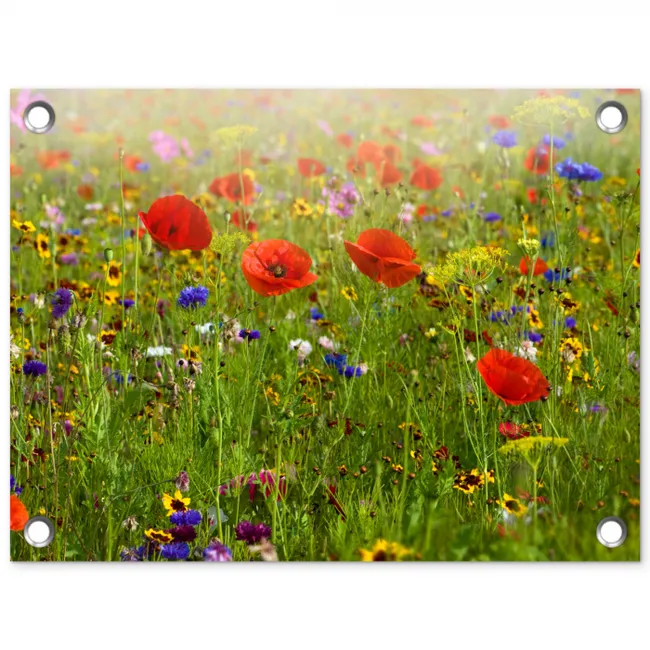 Weide van wilde bloemen en klaprozen tuinposter los doek klein -3d