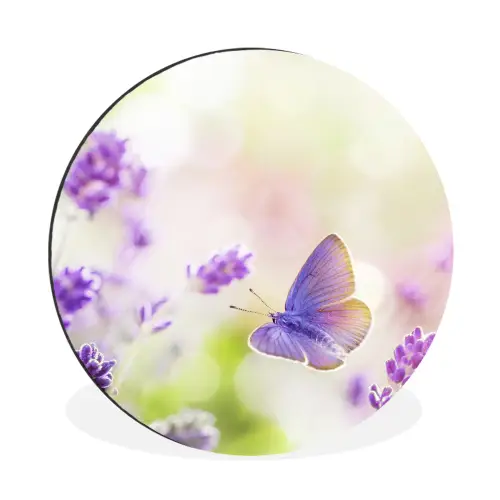 Lavendel - Vlinder - Bloemen Wandcirkel aluminium klein -3d