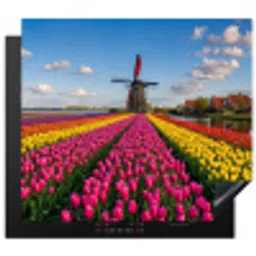 Tulpen - Holland - Molen - Kleurrijk Inductie beschermer vinyl 3mm middel -3d