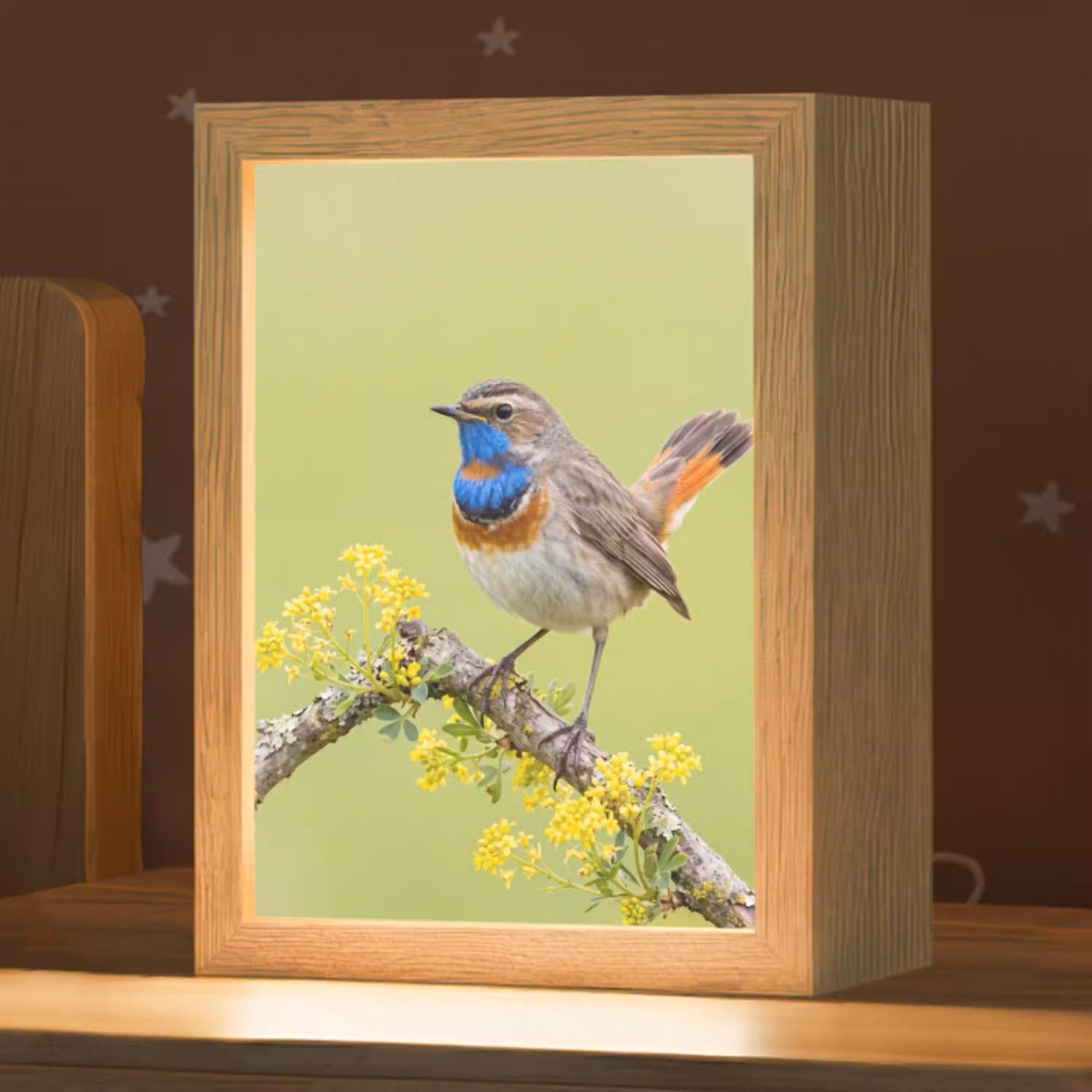 Vogel - Tak - Natuur - Kleurrijk Light Box met kabel (Kinderlampje) klein -zzz_3d_website