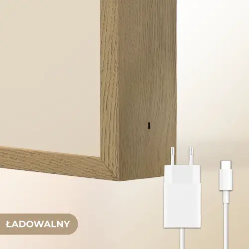 Zeepaardje - Zeewier - Beige Light Box met batterij (Wandlamp kind) middel -USP_websiteoplaadbaarNL