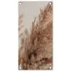 Gedroogd pampasgras dichtbij tuinposter los doek klein -3d