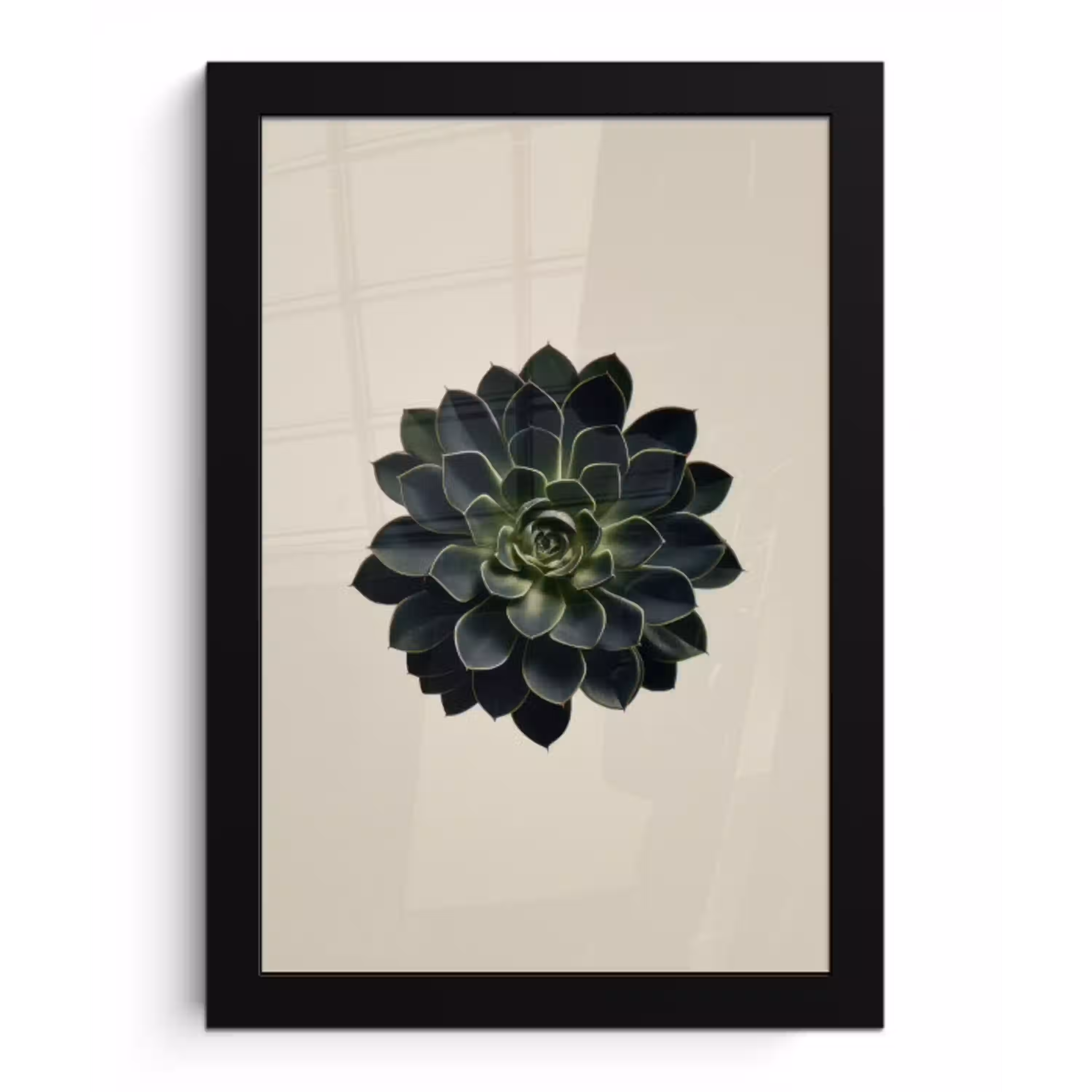 Rozet - Cirkelvormig - Donkergroen fotolijst zwart zonder passe partout klein -3d