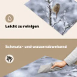 Vogel - Tak - Sneeuw - Winter Inductie beschemer met haakjes klein -ky-schoon-de